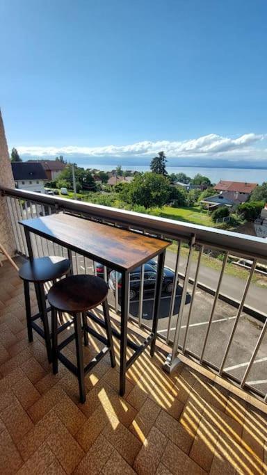 Appart Cosy Avec Vue Sur Le Lac Leman Εβιάν-λε-Μπαιν Εξωτερικό φωτογραφία